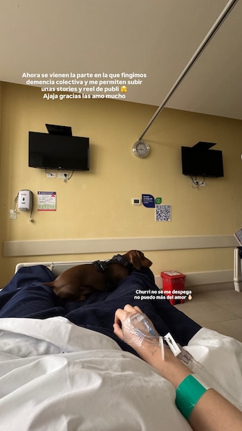 Brazo de persona con vía intravenosa en una cama de clínica junto a un perro salchicha acostado. Fondo amarillo con televisores