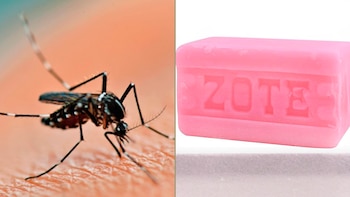 El jabón Zote, en sus