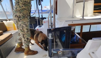 Binomio canino de la Semar inspeccionando una de las embarcaciones. Crédito: Especial