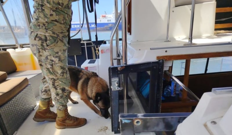 Binomio canino de la Semar inspeccionando una de las embarcaciones. Crédito: Especial