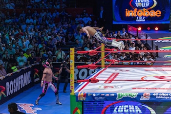 (CMLL / Diego Cedrix)