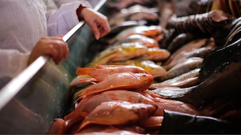 Semana Santa impulsa la demanda y los precios del pescado en Colombia, reporta el Dane - crédito Colprensa