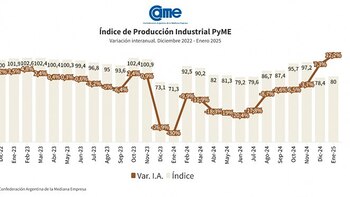 Índice de Producción Industrial Pyme