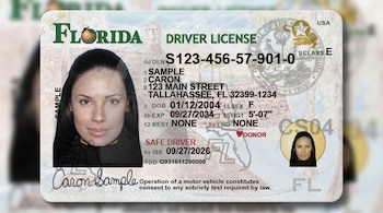 Licencia de conducir de Florida con la fotografía de una mujer, datos personales de muestra, firma, sello del estado y fondo desenfocado.