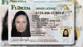 Florida estrena nuevas licencias de conducir: un caimán, un transbordador y un polémico lema histórico