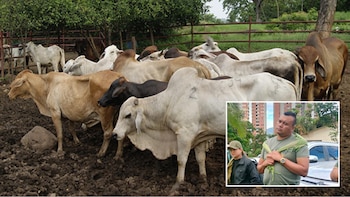 Extorsiones, ocupasiones ilegales, amenazas y hasta trabajos forzados: así es el dominio en el Caquetá de las disidencias de Calarcá que están en la mira de Abelardo de la Espriella