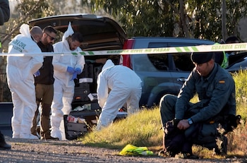 El cádaver de Laura Luelmo fue hallado en un bosque cercano a su casa (EFE/Julián Pérez)