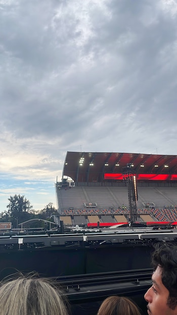 La altura de la pasarela fue adaptada después de quejas y permitirá a Styles recorrer más de 300 metros para tener mayor contacto con los fans. (Crédito especial: X/ @taebinnyy)