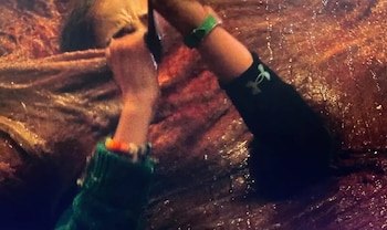 El error en una escena de la temporada 5 de "Stranger Things"