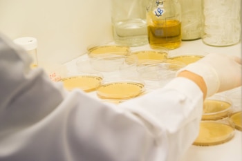 Imagen Z4HVZLKATRDYBOG6HMXKMYS3DU