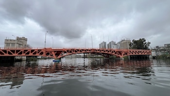 El estudio diferenció la frecuencia