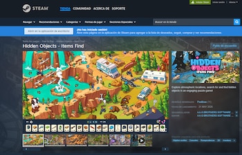 (Steam)
