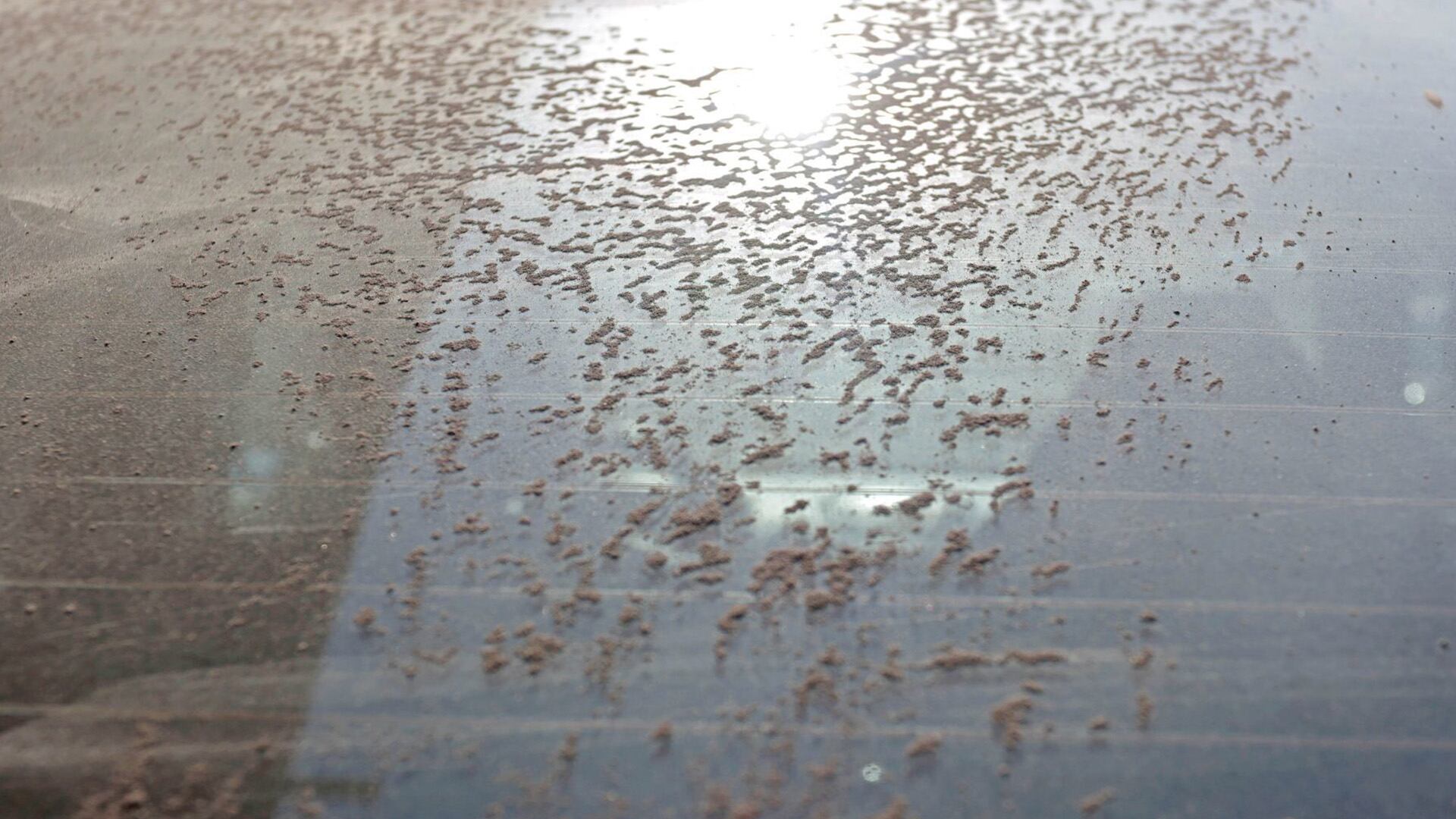 Caída de ceniza del Popocatépetl en CDMX: estas son las alcaldías en alerta