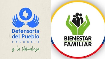 Defensoría del Pueblo solicitó al Icbf aclarar el retiro de la palabra “niña” del lenguaje institucional y la entidad respondió: “No pretende borrar a las niñas”