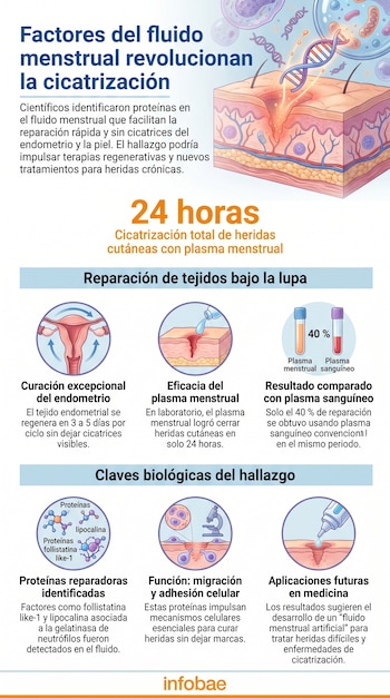 Una infografía ilustra el proceso de cicatrización con figuras de un útero, una sección de piel con herida, moléculas, ADN, células y tubos de ensayo.