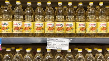 El proyecto establece que cada