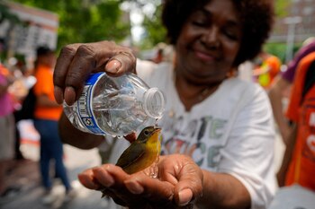 Eric Adams pidió a los