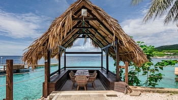 Hay actividades diurnas y nocturnas