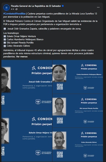 El Tribunal Primero Contra el Crimen Organizado dictó sentencias contra integrantes de La Mirada Loca Sureños 13 por pertenencia a organización terrorista. Otros cuatro miembros recibieron 45 años de cárcel por agrupaciones ilícitas.