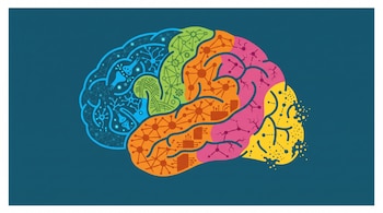 Cerebro humano de perfil con cinco secciones de distintos colores (azul, verde, naranja, fucsia, amarillo) con iconos y texturas. Fondo azul petróleo.