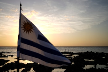 Una bandera uruguaya en Montevideo (AP Foto/Natacha Pisarenko/Archivo)
