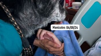 Así fue la despedida entre