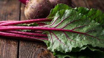 Hojas verdes de remolacha con tallos de color magenta y gotas de agua sobre una superficie de madera, con una raíz al fondo