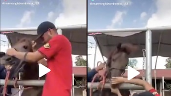 “Ay Miguel”: cuál es el