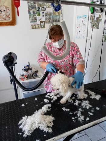 La peluquera canina Carmen Diaz