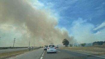 Combaten un incendio forestal que