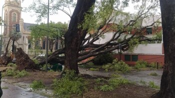 Temporal en Rosario provocó la