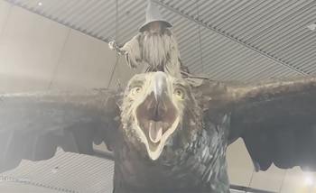 El terremoto de 2016 dañó