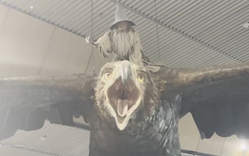 El terremoto de 2016 dañó