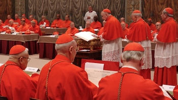 Imagen de Archivo del cardenal