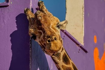 El Parque Central Poniente reportó