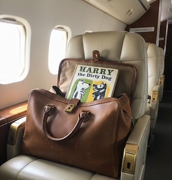 El destino del libro estuvo