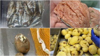 Comida que llegó a la