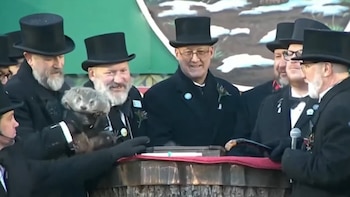 VÍDEO: La marmota Phil pronostica