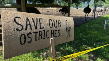 Las protestas frente a la