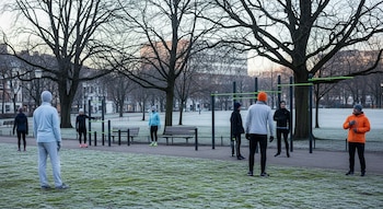 Seis personas con ropa deportiva en un parque urbano con árboles sin hojas, suelo cubierto de escarcha y equipamiento de ejercicio al aire libre.