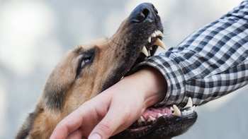 Congreso CDMX llama a reforzar