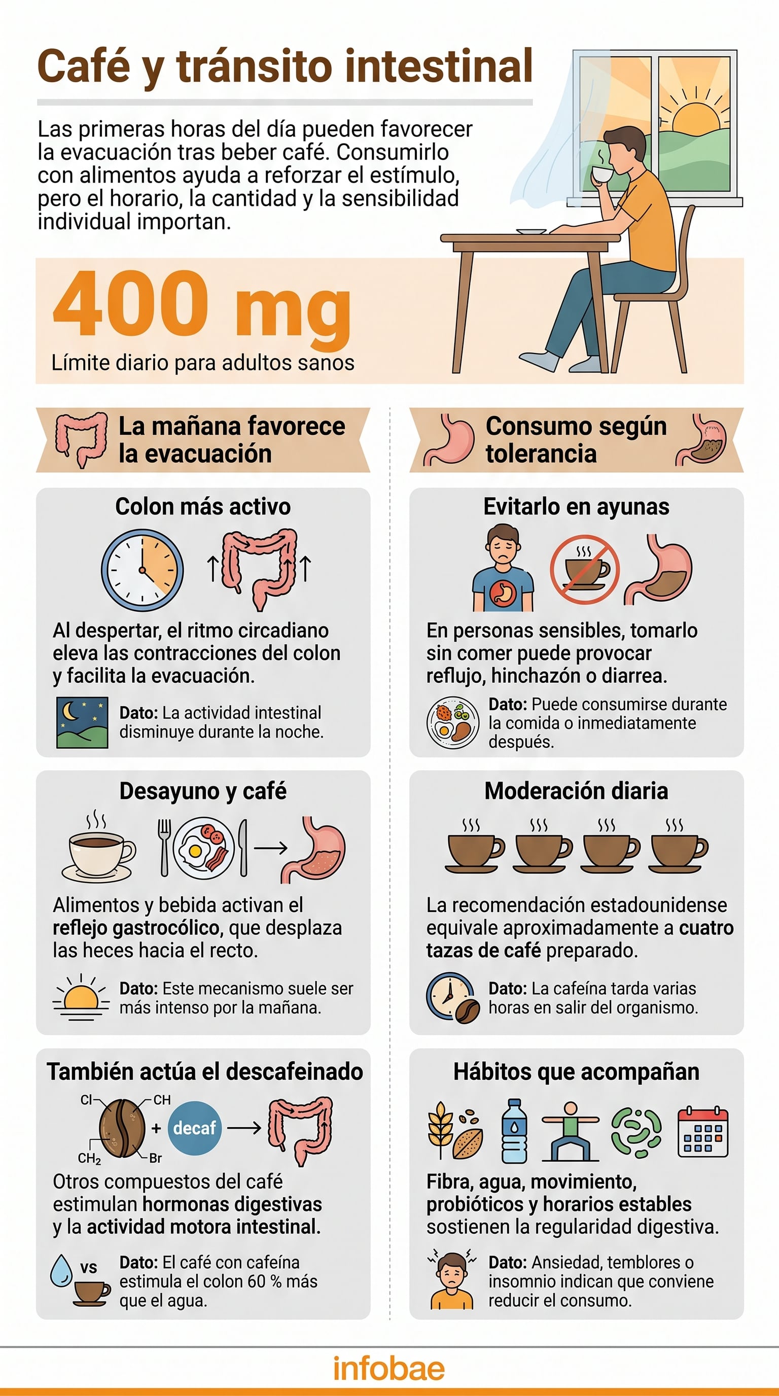 El colon aumenta su actividad después de despertar. (Imagen Ilustrativa Infobae)