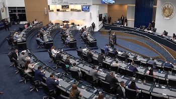El órgano legislativo respaldó cambios legales que amplían la cobertura de instrumentos de medición y modifican la regulación para contrataciones vinculadas a levantamientos de datos solicitados por entidades estatales, incluyendo mecanismos propios de compra para el Banco Central (Captura de pantalla de la transmisión en directo)