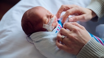 Cuáles fueron los 20 nombres