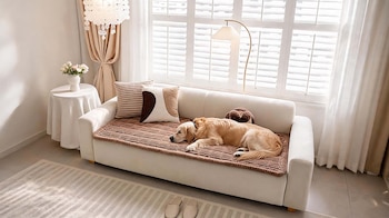 MASCOTAS FELICES DECO