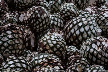 Se tarda unos siete años