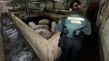 La Guardia Civil evita la