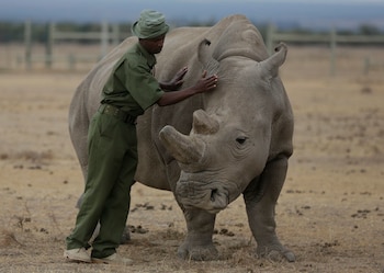 Este descubrimiento se realizó en