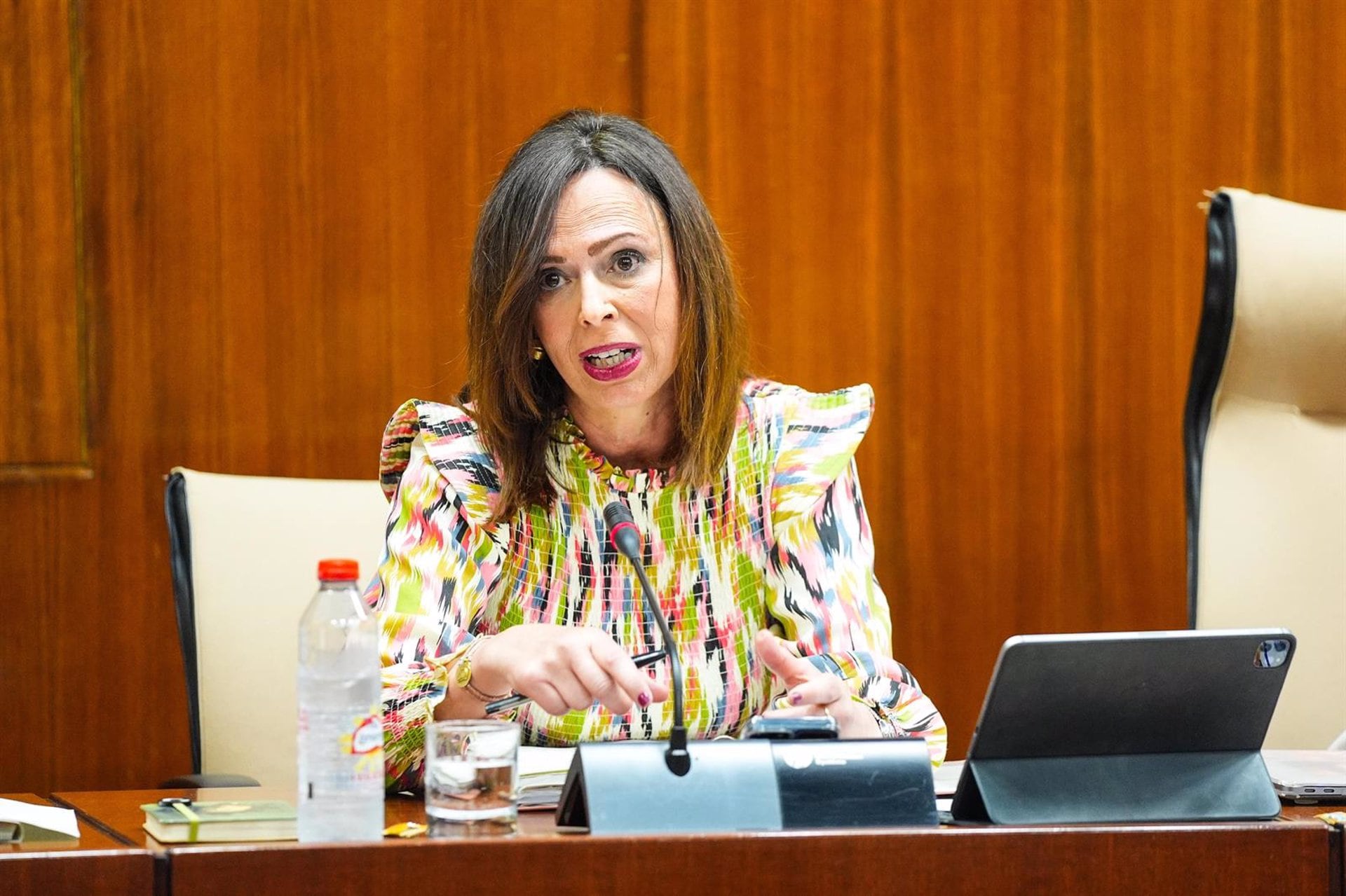 La consejera de Vivienda, Juventud y Ordenación del Territorio, Rocío Díaz. JOAQUÍN CORCHERO/PARLAMENTO DE ANDALUCÍA