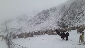 Algunas zonas presentarán nieve y